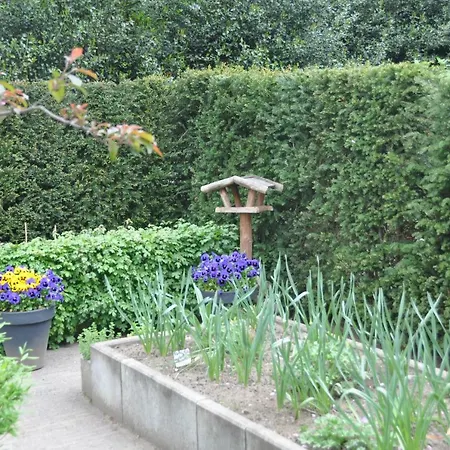 Huize Huizinga Bed & Breakfast De Steeg