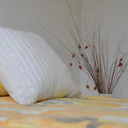 Huize Huizinga Bed & Breakfast De Steeg