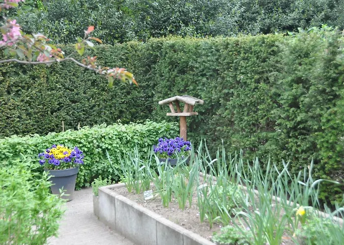 Huize Huizinga מלון De Steeg